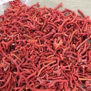 Detritus <span class=keywords><strong>Corallium</strong></span> japonicum, 50 gramos, 100% natural, Coral rojo, piezas pequeñas para hierbas - Product Image 2