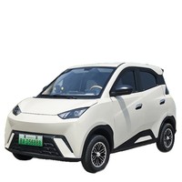 Vehículo Eléctrico de Cuatro Ruedas, Modelo Actualizable; Scooter de Movilidad para Adultos Mayores; Diseño Cerrado Totalmente Eléctrico para Uso Doméstico Femenino