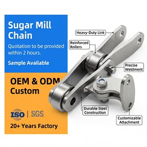 Plaque de montage à double trou renforcée P152F154-AS2F1 pour chaîne de broyeur, application zone d'alimentation de <span class=keywords><strong>canne</strong></span>, qualité OEM - Product Image 1
