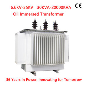 หม้อแปลงไฟฟ้า 3 เฟส ขายดี S11 11KV 630KVA ไม่มีการกระตุ้นไฟฟ้า ผลิตโดยโรงงานโดยตรง ผู้ผลิตมีประสบการณ์ 35 ปี - Product Image 5