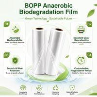 Film BOPP Biodégradable de Qualité Alimentaire 25 Microns pour Emballage à Emporter – Vente Flash