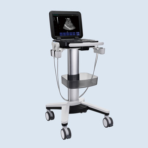 Dispositivo de Diagnóstico Digital Portátil de Ultrasonido Veterinario Promax PU-VDL151A para Uso Animal - Product Image 2