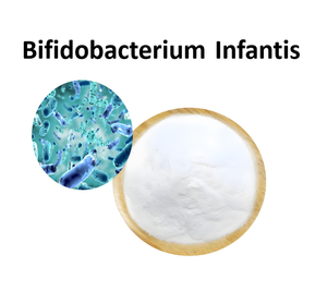 Bifidobacterium infantis M-16v Bifidobacterium Breve ผงโปรไบโอติกแช่แข็งแห้งทางเดินอาหาร - Product Image 2