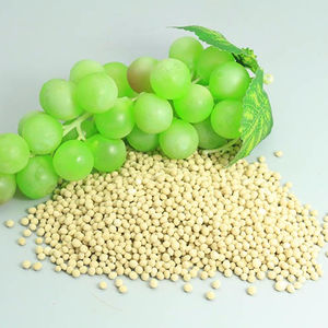 NPK מתחם דשן 12-22-22 + TE חקלאות דשן - Product Image 4