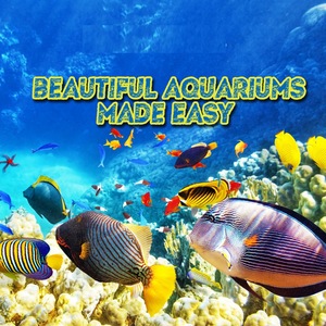 Wancheng Biotechnology 6 In 1 Ph Test <b>Strips</b> For Aquarium Fish Tank Pool Hot Spring Water 100 <b>Strips</b> Multi Parameter Detection - Product Image 4