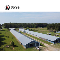 Hangar Avicole Commercial à Structure en Acier pour Élevage de Poulets de Chair – Conception de Poulailler Préfabriqué à Vendre