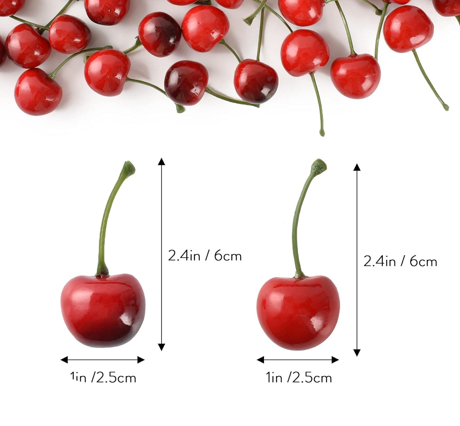 dwarf cherry tree fruit
