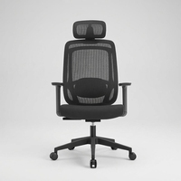 Chaise de bureau ergonomique en maille, vente en gros d'usine, plusieurs couleurs au choix, support lombaire réglable 2D, chaise de direction à dossier haut