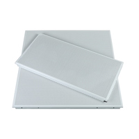 Panneaux de plafond en aluminium de haute qualité 2x2 pieds pour la décoration intérieure, type perforé, matériaux de construction pour bureaux