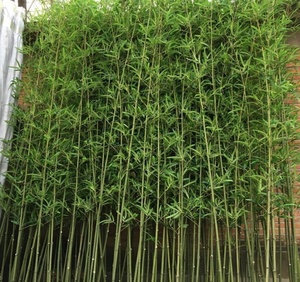 Bonsaï d'extérieur en feuilles de <span class=keywords><strong>bambou</strong></span> artificielles, plantes en <span class=keywords><strong>bambou</strong></span> artificielles - Product Image 4