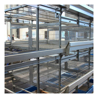 Cage de poulpe galvanisée de Type H pour bébé poulet, Cage de couveuse à batterie pour poussins de croissance de jour