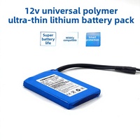 Batterie au lithium fine haute capacité 12V Deyi'an, batterie externe portable avec affichage de la puissance, adaptée aux enceintes d'extérieur, à la surveillance et aux LED