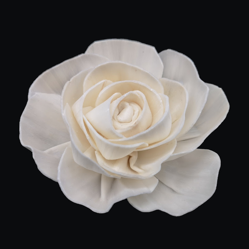 Rose de 8 cm-s516b08n