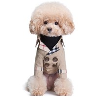 Manteau de luxe pour animaux de compagnie, manteau pour chien Corgi Bichon Teddy, vêtements pour chien, manteau pour chat