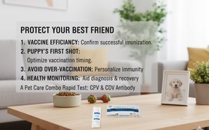 Pruebas rápidas veterinarias S&<span class=keywords><strong>C</strong></span> para la detección de anticuerpos contra la brucelosis canina, kit de prueba <span class=keywords><strong>BRU</strong></span> - Product Image 2