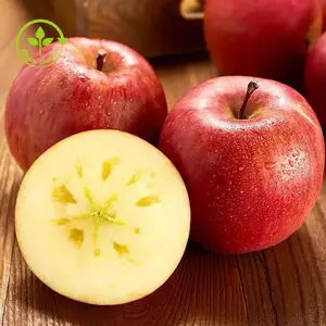 Поставка чистого натурального экстракта яблока, яблочного сидра, уксуса в порошке