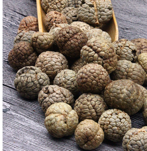 Semi di Alpinia Katsumadai (Cao Dou Kou) Frutta Alpina Prospero in Vendita - Product Image 3