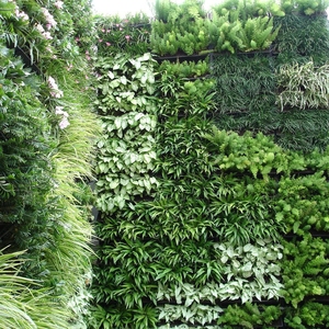 Jardinera Vertical para Hogar y Jardín, Macetas Decorativas para Pared Verde, Macetas de Plástico con Autorriego, Ecológicas, Biodegradables, con Drenaje - Product Image 3