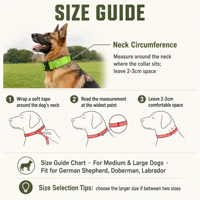 Collier pour chien respirant et réglable, 5 cm de large, motif de dessin animé, boucle en métal pour Golden Retriever, grands chiens, fournitures pour animaux de compagnie personnalisées OEM