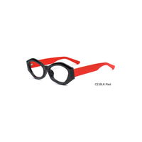 Montures de lunettes optiques œil de chat géométriques en acétate TR avec branches colorées pour verres correcteurs OEM ODM