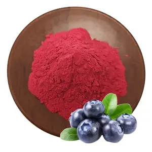 100% 天然有机蓝莓果粉蓝莓提取物冻干蓝莓粉
