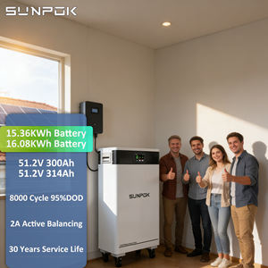 Batería de Iones de Litio SUNPOK 15KWH BMS Lifepo4 51.2V 314AH 280AH Powerwall, Paquete de Baterías para Almacenamiento Solar - Product Image 1