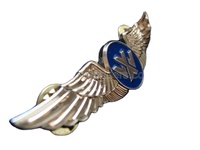 Épinglette de marque Wonders en laiton doré, logo personnalisé, placage or OEM, moulage transparent pour boîte cadeau Wings, impression typographique
