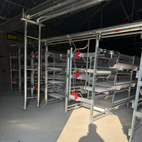 Système de cages verticales de type H pour rôtissoires à viande, poulailler automatique en structure acier, enclos à poulets pour l'élevage en maille soudée
