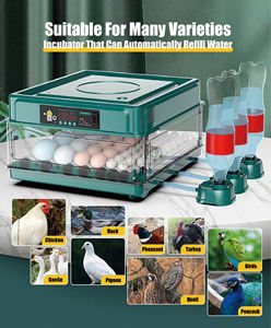 Mini incubateur automatique à double alimentation pour 128 œufs avec retournement automatique des œufs, à bas prix pour un usage domestique - Product Image 2