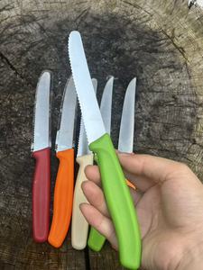 Ensemble de couteaux à steak dentelés multicolores, lames en acier inoxydable écologiques, fabrication directe d'usine, couteaux de table pour la restauration hôtelière - Product Image 6