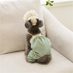 Ropa para perros Mono con ribete de encaje verde para perros pequeños Ropa para perros medianos y grandes Chihuahua <span class=keywords><strong>Shih</strong></span> <span class=keywords><strong>Tzu</strong></span> Yorkshire Terries Ropa - Product Image 1