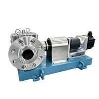 Pompe doseuse de transfert haute précision en acier inoxydable à carter chauffant pour résine, asphalte et fluides visqueux