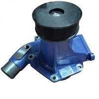 5279976 W010517994 Wasserpumpe 612640060102 4110003187001 für SEM SEM656D SEM655D Radlader Wasserpumpenteile