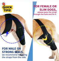 Attelle orthopédique OEM pour chien, support de genou pour animaux de compagnie, protection pour la récupération des membres, attelle de genou pour chien réduisant les douleurs articulaires