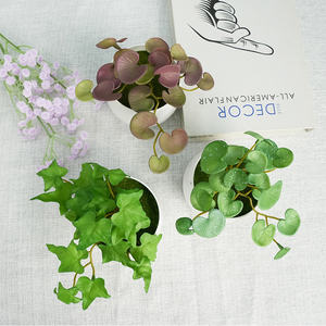 Tanaman Mini sentuh asli, rumput uang tembaga daun Ivy buatan tanaman sukulen palsu hijau untuk dinding - Product Image 3