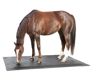Couverture <span class=keywords><strong>de</strong></span> <span class=keywords><strong>sol</strong></span> <span class=keywords><strong>pour</strong></span> écurie <span class=keywords><strong>de</strong></span> chevaux, tapis en mousse <span class=keywords><strong>de</strong></span> caoutchouc souple avec surface antidérapante, <span class=keywords><strong>matelas</strong></span> confortable <span class=keywords><strong>pour</strong></span> chevaux - Product Image 6