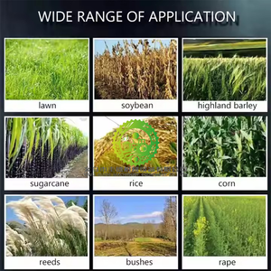 Cortadora de Césped a Gasolina Tipo Mochila con Motor, Bomba y Engranajes - Cortadora de Pasto y Heno Agrícola de Alta Productividad - Product Image 3