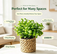 Plantes artificielles en pot tressé pour la décoration intérieure de table et de salon