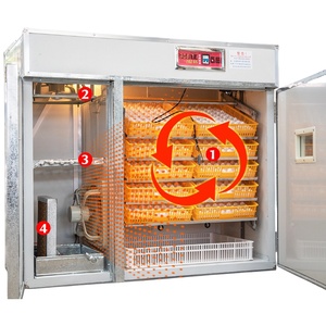 เครื่องฟักไข่พลังงานแสงอาทิตย์พร้อมเครื่องทดสอบไฟ LED สำหรับฟักไข่ไก่ - Product Image 4