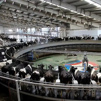 Structure en acier HDG XYSS, Parure de traite complète avec équipement de traite pour ferme bovine, caprine et ovine