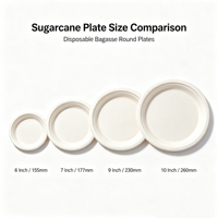 Assiettes rondes jetables en bagasse de canne à sucre de 10 pouces, résistantes, compatibles micro-ondes, pour fêtes, fabriquées en Chine