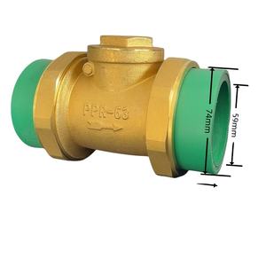 1/2 "3/4" 1 "1" 1-1/4 "1-1/2" 2 "Чжэцзян Юхуань шуньшуй завод Mexico Market темно-зеленый PPR латунный обратный клапан - Product Image 1