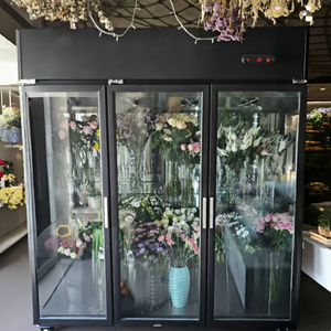 Réfrigérateur professionnel pour fleuristes à cinq portes, système de refroidissement par air sans givre, éclairage LED, stockage pour fleurs - Product Image 3