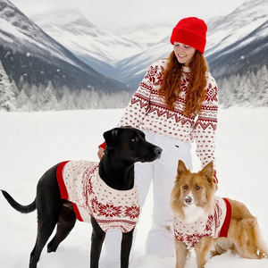 Imprimé chaud Vintage Design Pet col roulé pull tricoté chien et propriétaire correspondant vêtements pull chien pull décontracté vêtements pour animaux de compagnie - Product Image 1