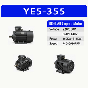 YE5-355 High Efficiency Three Phase Asynchronous Motor 2/4/6/8 Pole 110-315kW Energy Reliable Mega Industrial Induction Motor - Product Image 1