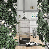 Vente en gros d'usine Cage d'élevage d'oiseaux d'intérieur classique de taille moyenne avec plateau en plastique push-up en fer Emballage de qualité supérieure Boîte incluse