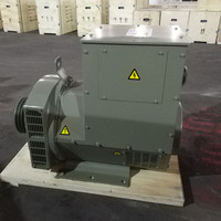 Alternateur triphasé sans balais 50/60Hz AVR à sortie de tension stable pour utilisation mondiale