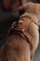 Harnais pour chien Sunraymascota de luxe, respirant, rembourré, doux, anti-traction, réglable, personnalisé, avec des caractéristiques de designer