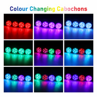 Étanche E14 Ip65 Auto Led Module Rgb Led Lampe Éclairage Carrousel Éclairage Led Fairground Cabochon Lumière
