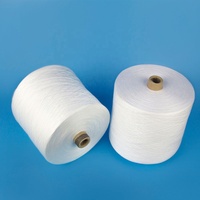 Pas cher prix Hubei usine directe 100% filé polyester matière première papier cône fil brut blanc 20/2 20/3 20/4 40/2 40/3 50/2